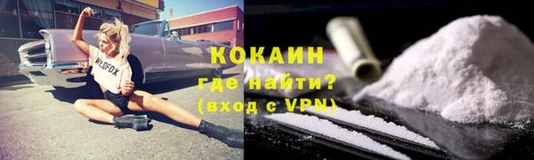 твердый Горняк