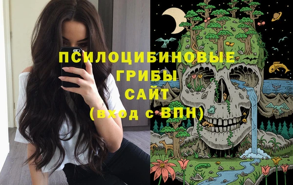 твердый Горняк