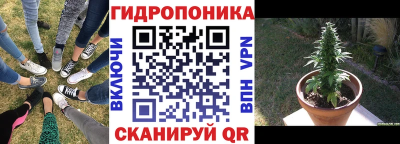 Бошки марихуана тримм  Новоржев 